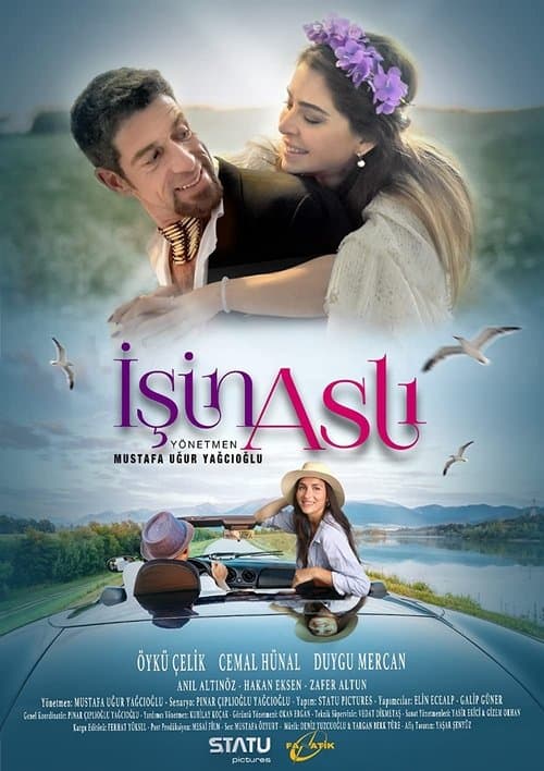 İşin Aslı poster