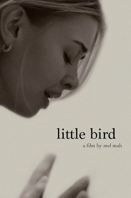 Little Bird poster