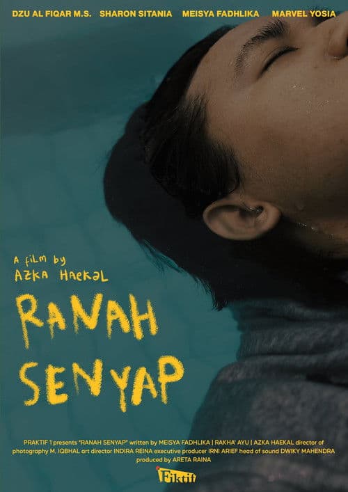 Ranah Senyap poster