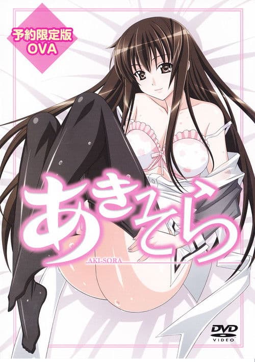Aki-Sora poster