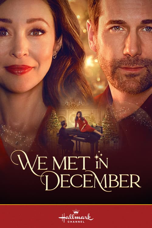 We Met in December poster