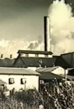 Kahuku: Survival of a Plantation Town poster