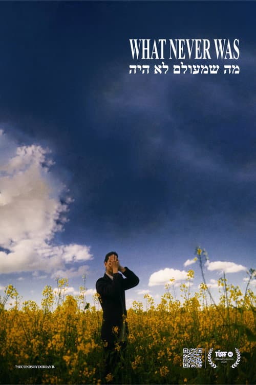 What Never Was poster