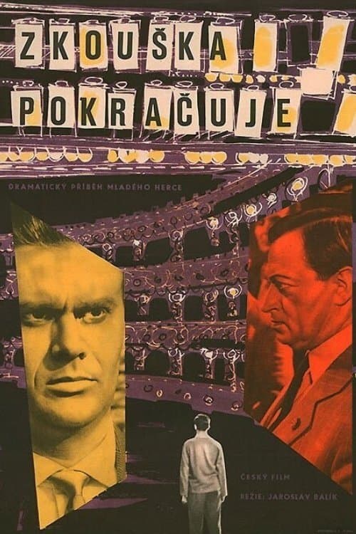 Zkouška pokračuje poster