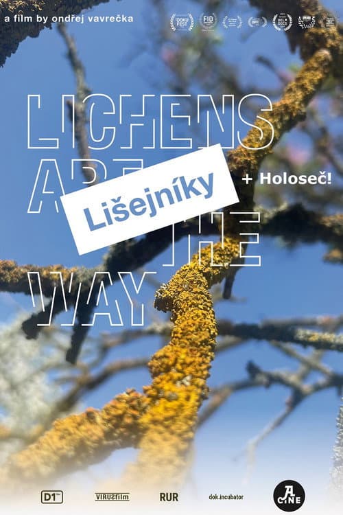 Lichens Are the Way poster