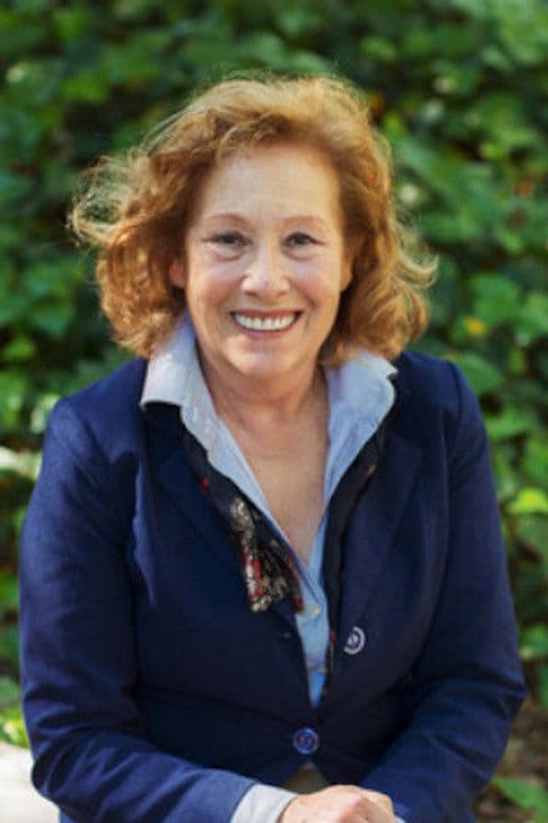 São José Lapa profile photo