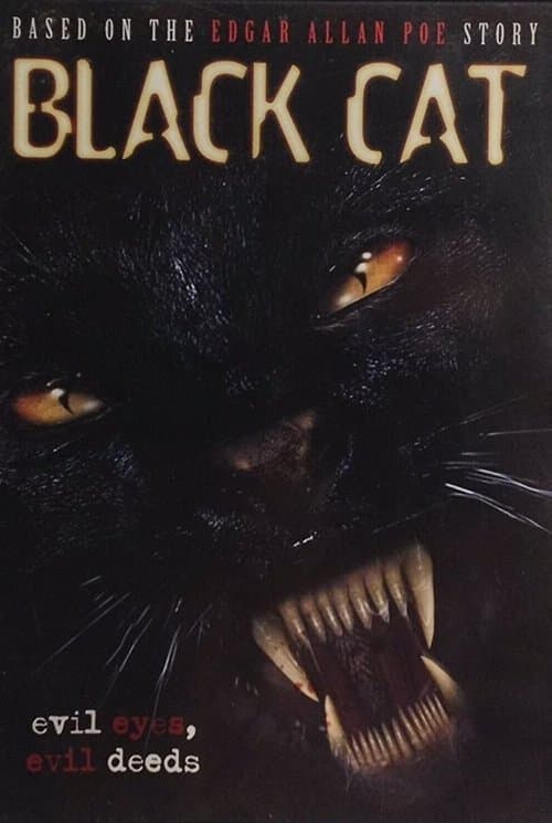 Black Cat poster