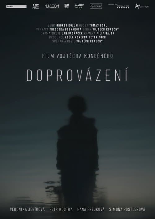 Doprovázení poster