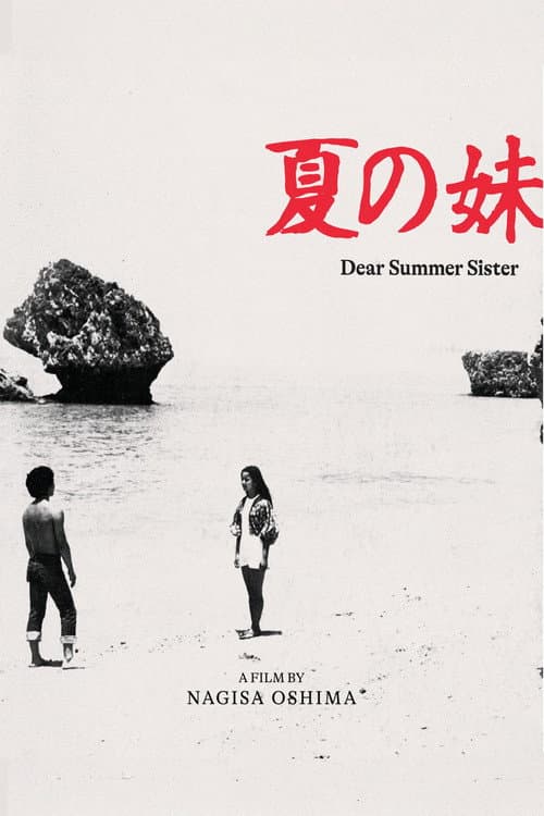 Dear Summer Sister poster