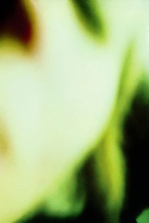 The Smashing Pumpkins: Basement Jam (Pulse Cable Access Show, November 19, 1988) poster