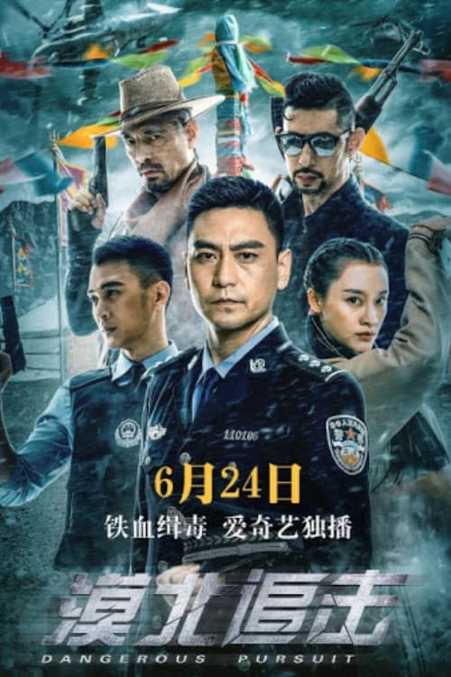 Dangerous Pursuit poster