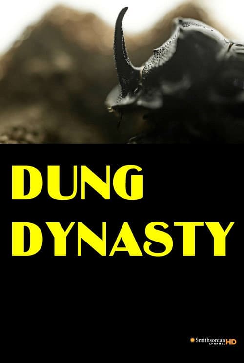 Dung Dynasty poster