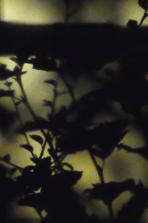 [D R E A M V A L L E Y] poster