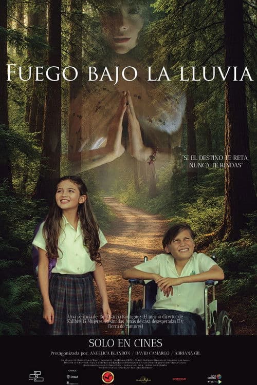 Fuego Bajo La Lluvia poster