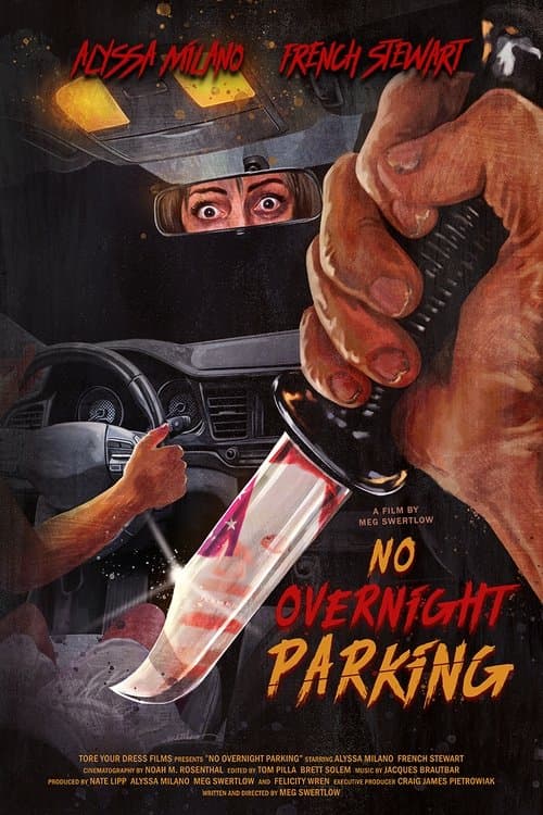 No Overnight Parking poster