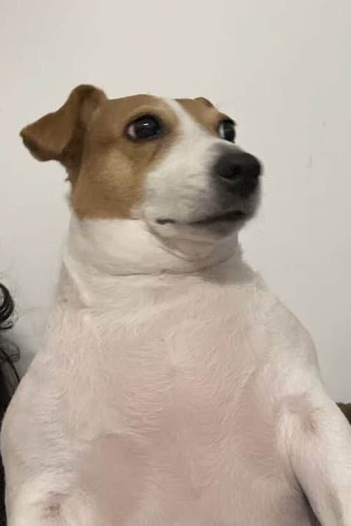 Bigot1s profile photo