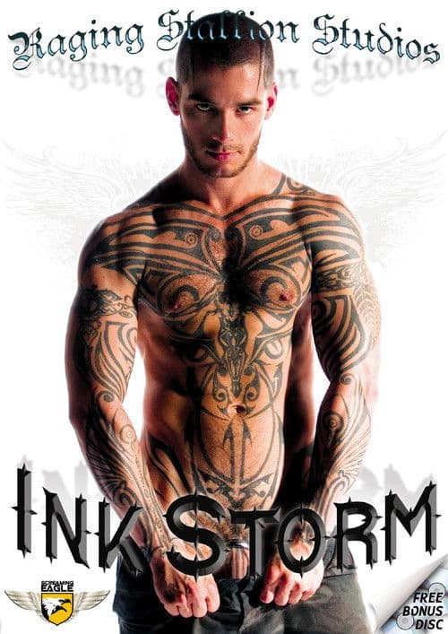 Ink Storm poster
