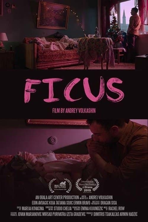 Ficus poster