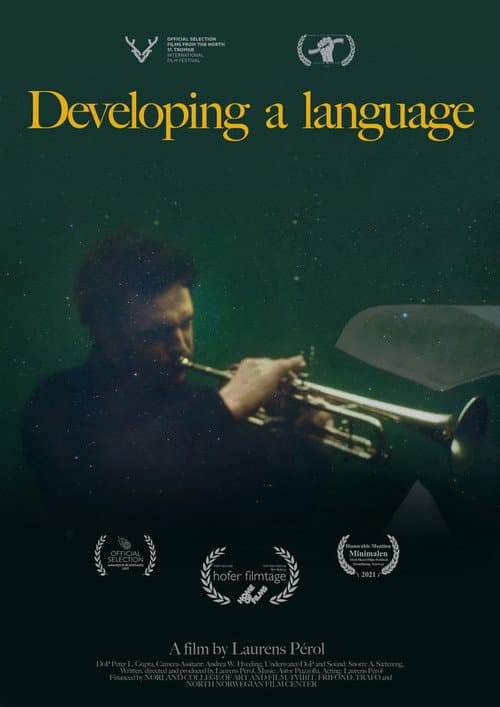 Developing a Language poster