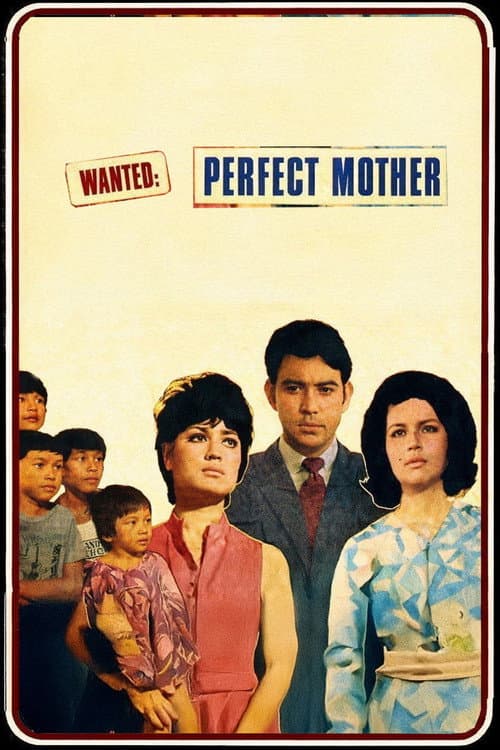 Wanted: Perfect Mother poster