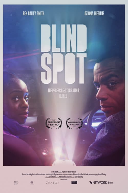 Blind Spot poster