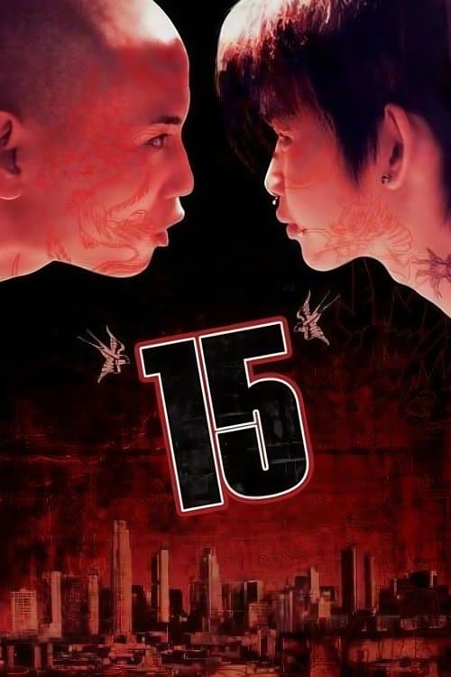 15 poster
