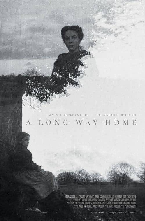 A Long Way Home poster