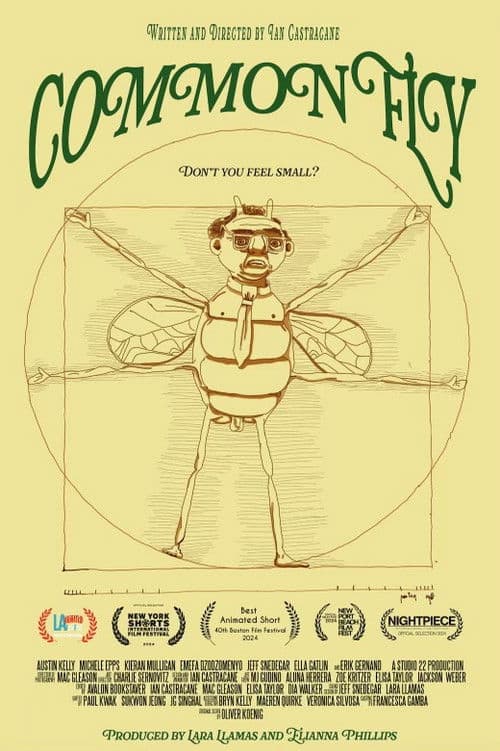 Common Fly poster