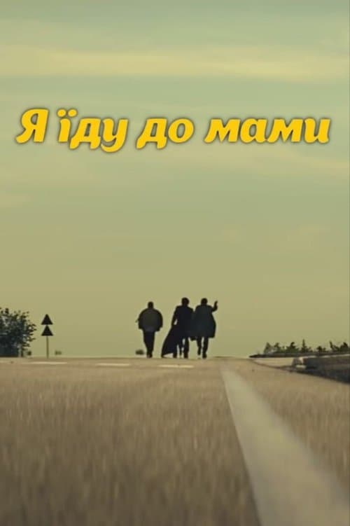 DZIDZIO: I'm going to my mom poster