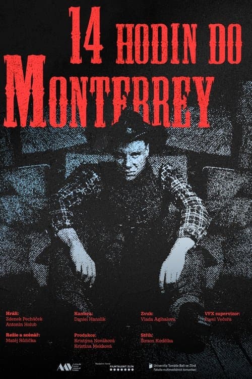 14 hodin do Monterrey poster