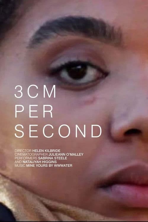 3 cm per second poster