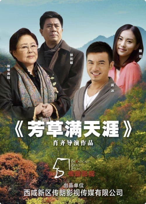 芳草满天涯 poster
