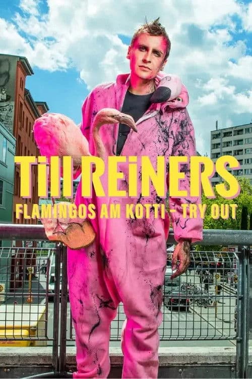 Till Reiners - Flamingos am Kotti poster