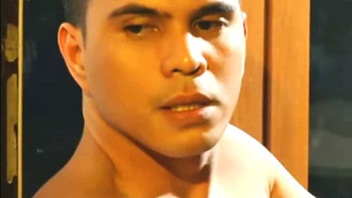 M2M 4:Exxxtreme poster