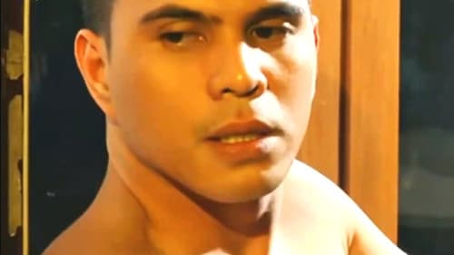 M2M 4:Exxxtreme poster