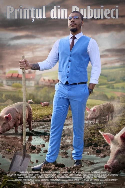 The Prince from Bubuieci poster