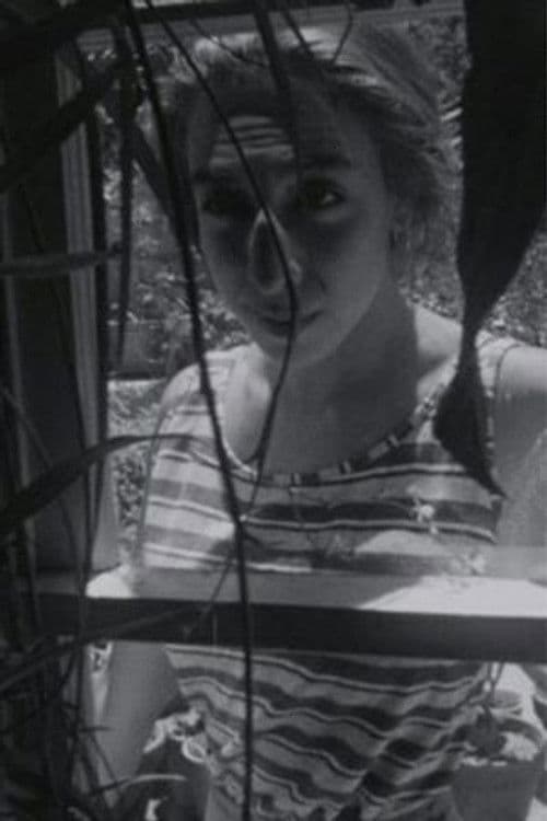 Amy Halpern profile photo