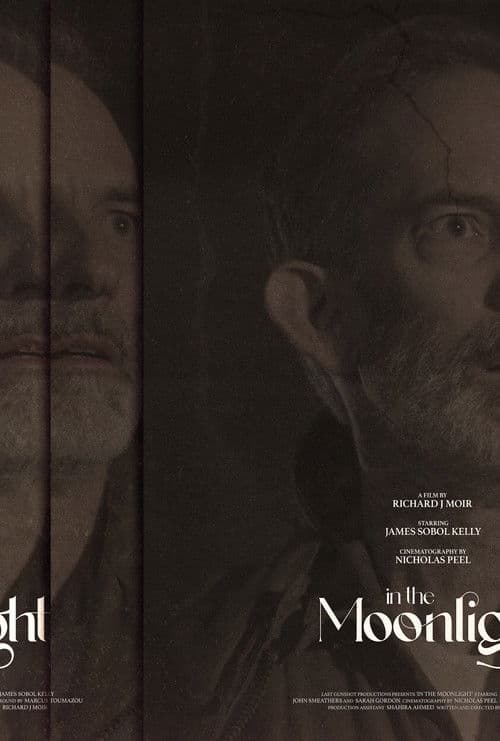 In The Moonlight poster