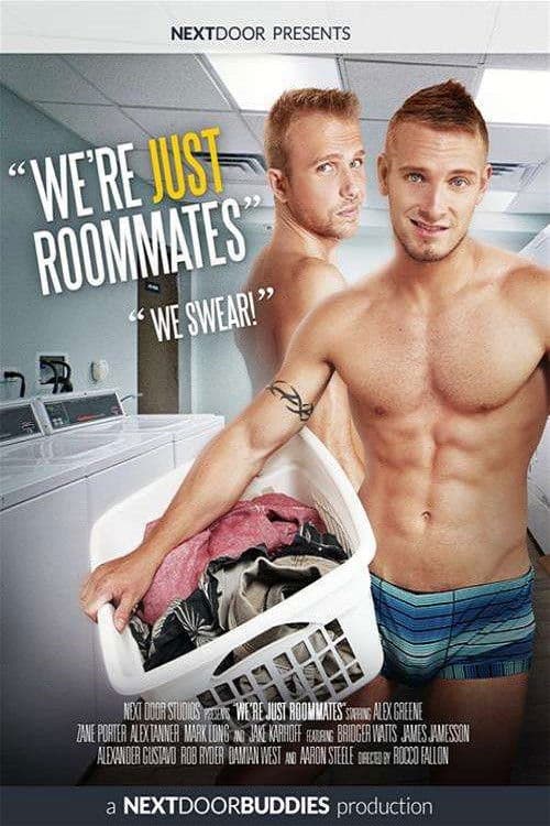 We're Just Roommates poster