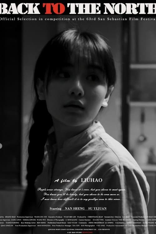 Back to the North poster