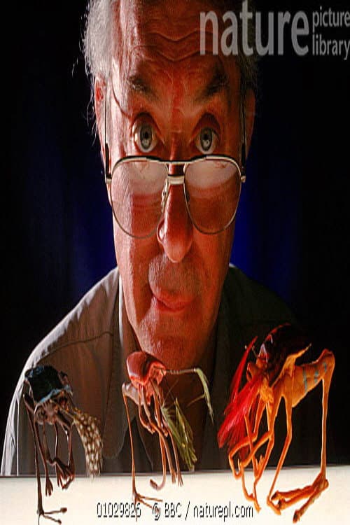 Natural History of an Alien poster