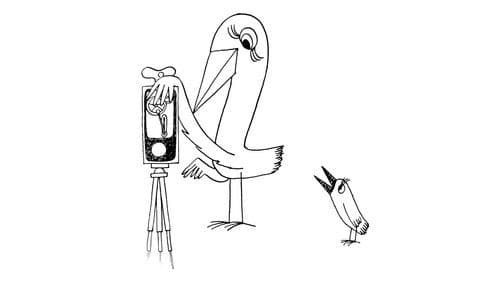 Strange Birds poster