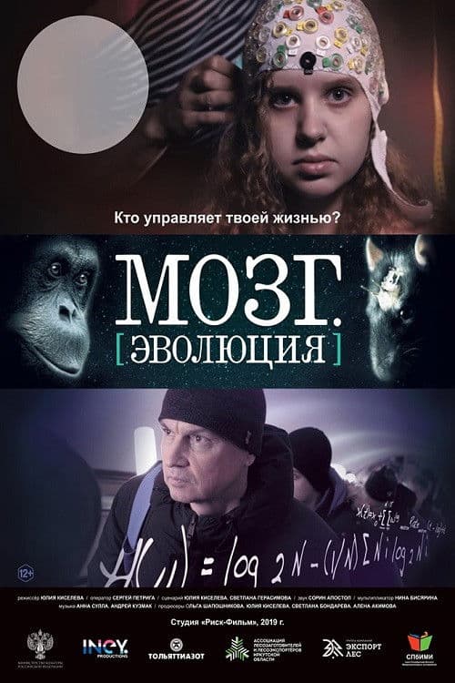 Brain. Evolution poster