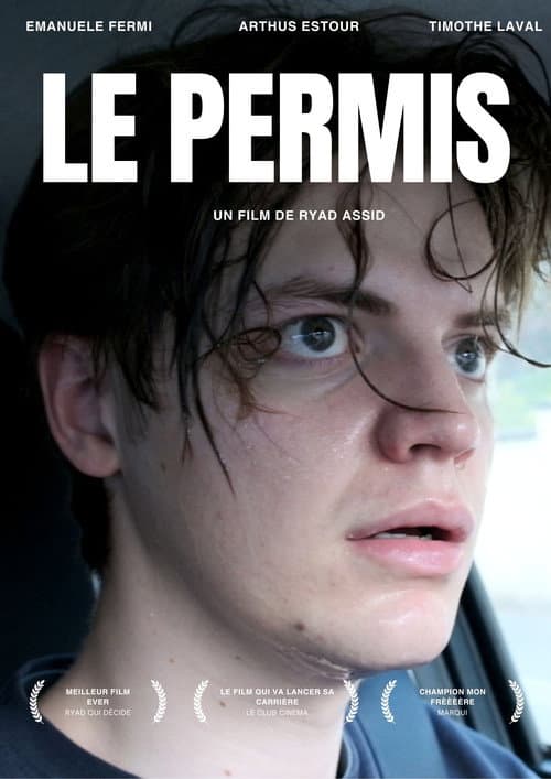 LE PERMIS poster