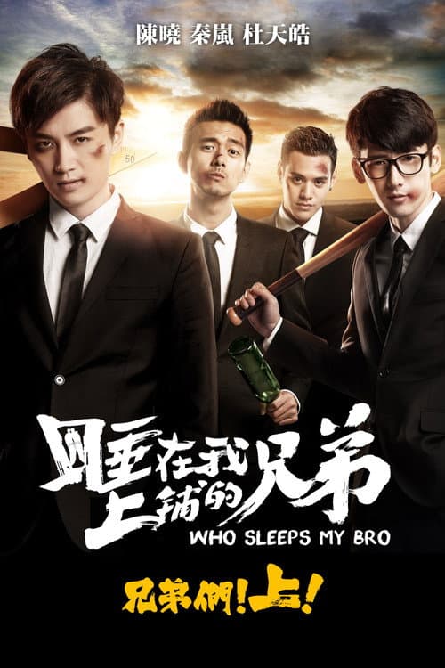 Who Sleeps My Bro poster