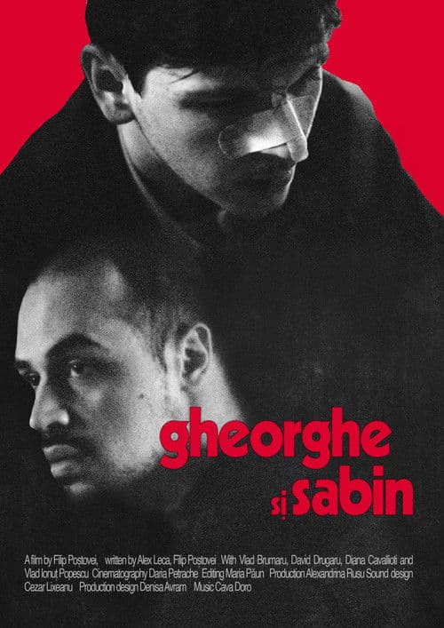 Gheorghe și Sabin poster