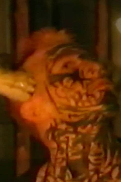 Travis Broihier profile photo