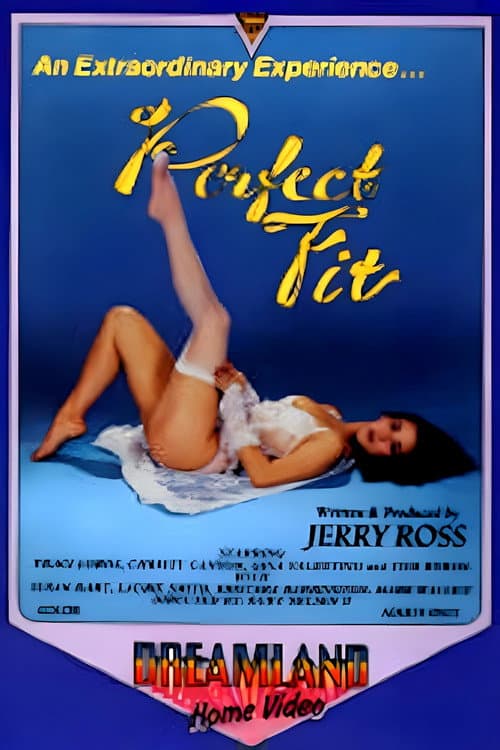 Perfect Fit poster