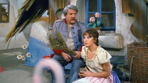 Zlaté pometlo poster