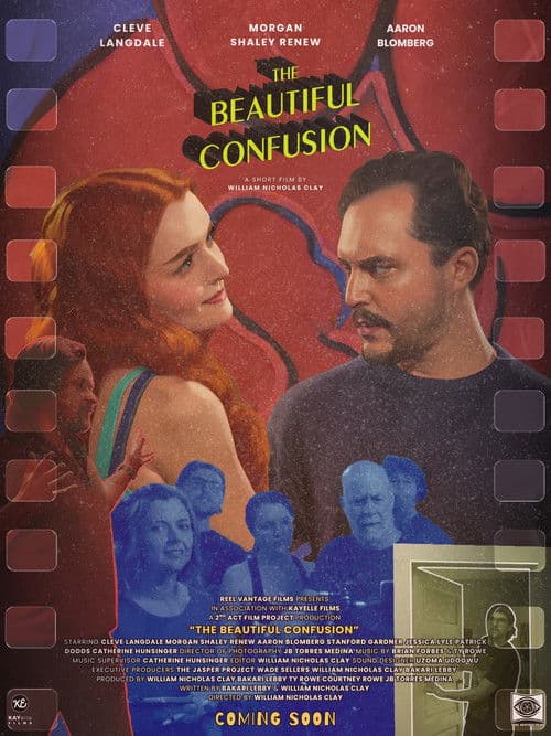 The Beautiful Confusion poster
